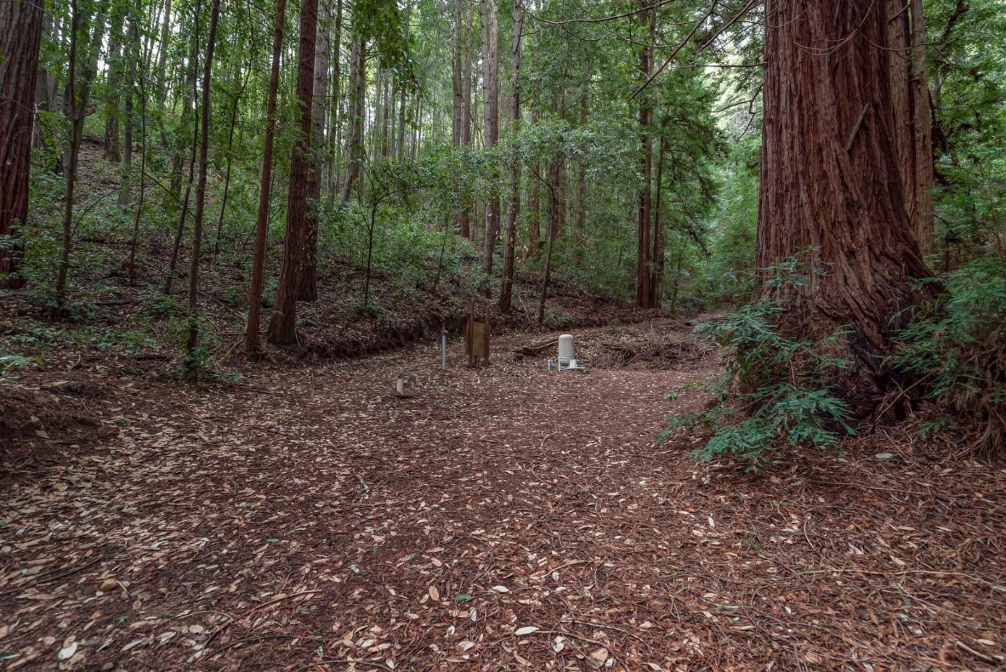 1600 Tucker Road Scotts Valley, CA 95066 - Photo 23 of 37 a view of a forest with trees in the background