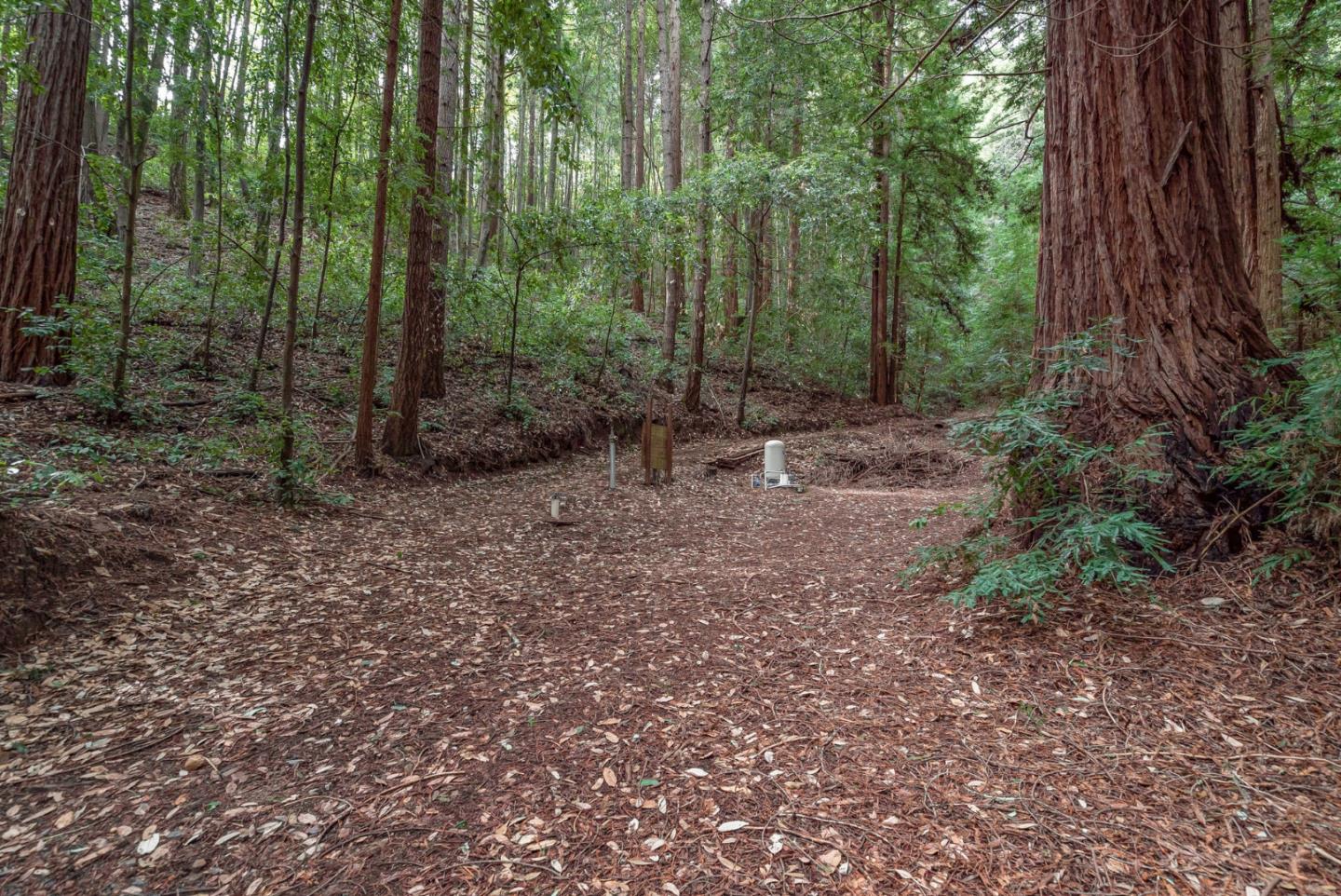 1600 Tucker Road Scotts Valley, CA 95066 - Photo 25 of 37 a view of a forest with trees in the background