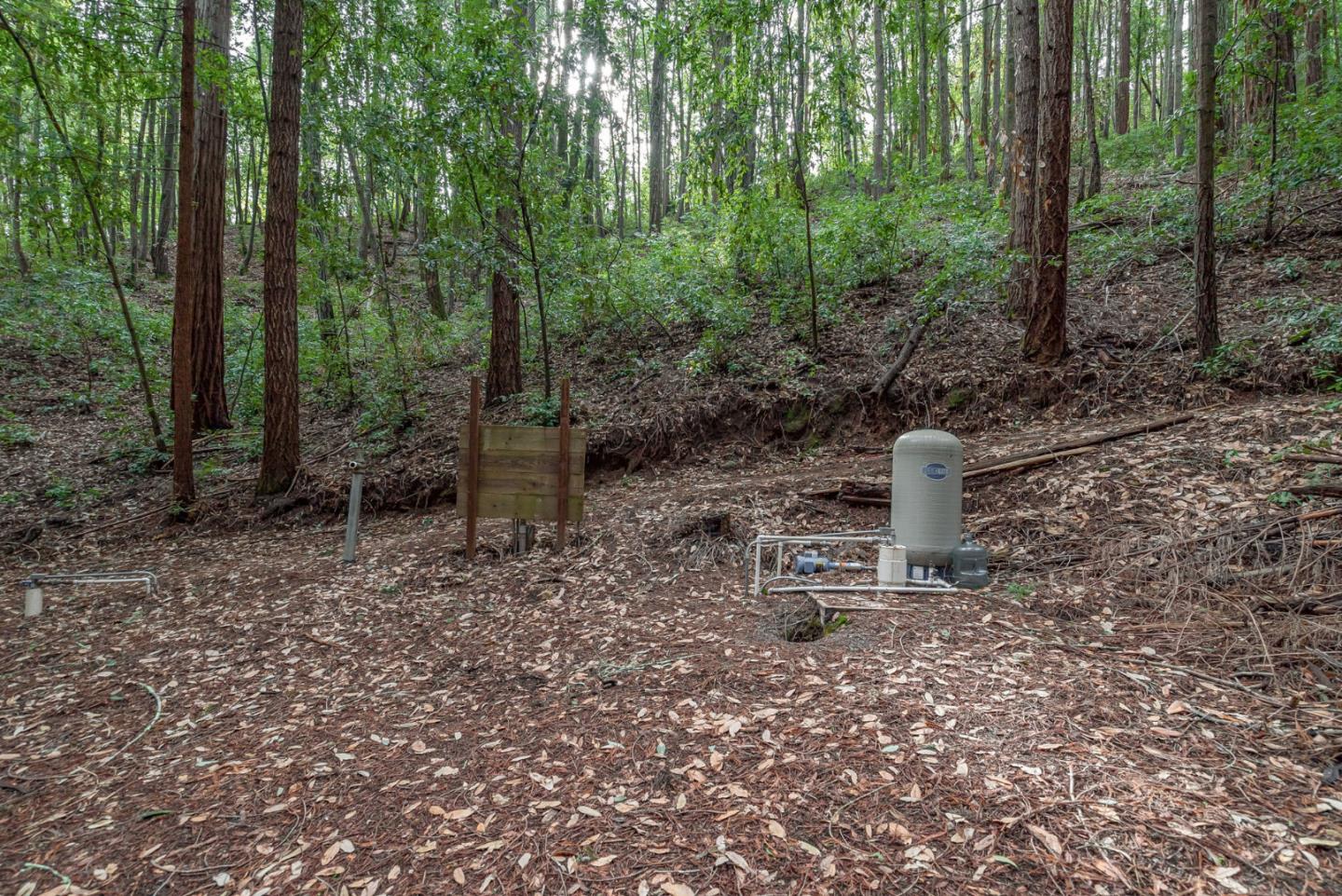 1600 Tucker Road Scotts Valley, CA 95066 - Photo 26 of 37 a chair and table sitting in the middle of forest