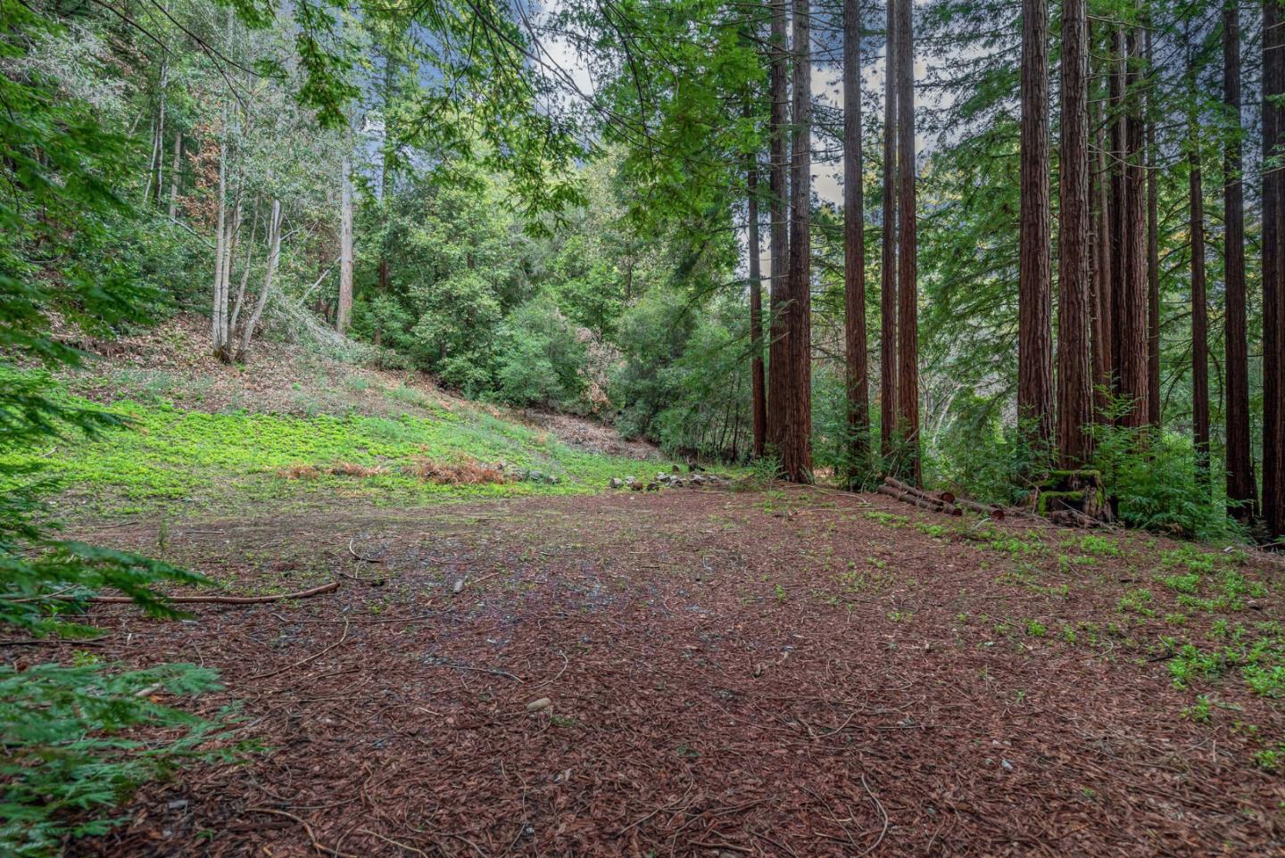 1600 Tucker Road Scotts Valley, CA 95066 - Photo 3 of 37 a view of a forest with trees in the background