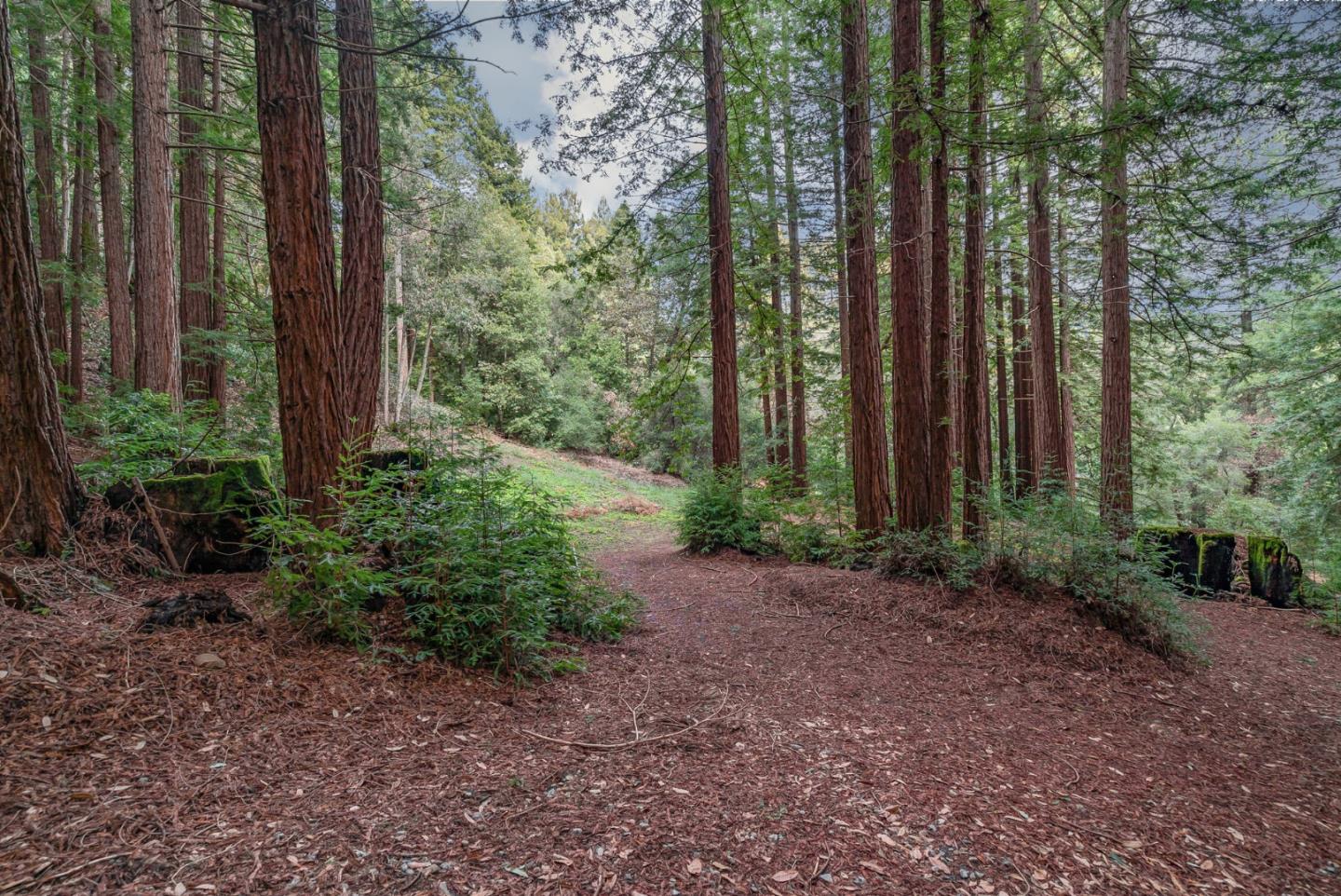 1600 Tucker Road Scotts Valley, CA 95066 - Photo 33 of 37 a view of backyard with green space