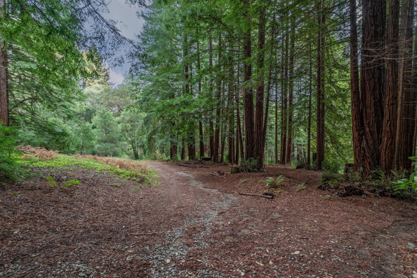 1600 Tucker Road Scotts Valley, CA 95066 - Photo 36 of 37 a view of outdoor space with deck and trees