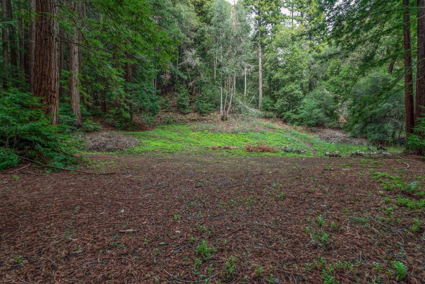 1600 Tucker Road Scotts Valley, CA 95066 - Photo 4 of 37 a view of outdoor space and yard
