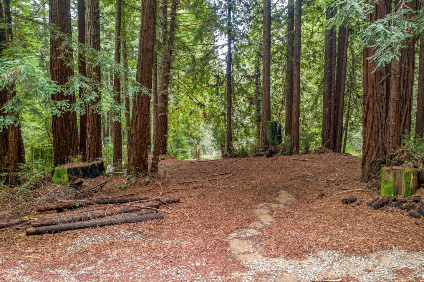 1600 Tucker Road Scotts Valley, CA 95066 - Photo 5 of 37 a view of a yard with trees