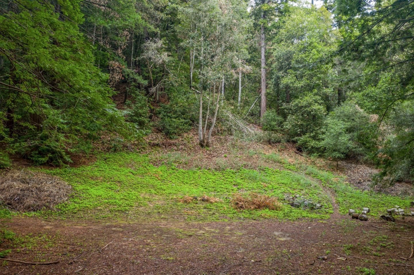 1600 Tucker Road Scotts Valley, CA 95066 - Photo 6 of 37 a view of a forest with trees in the background