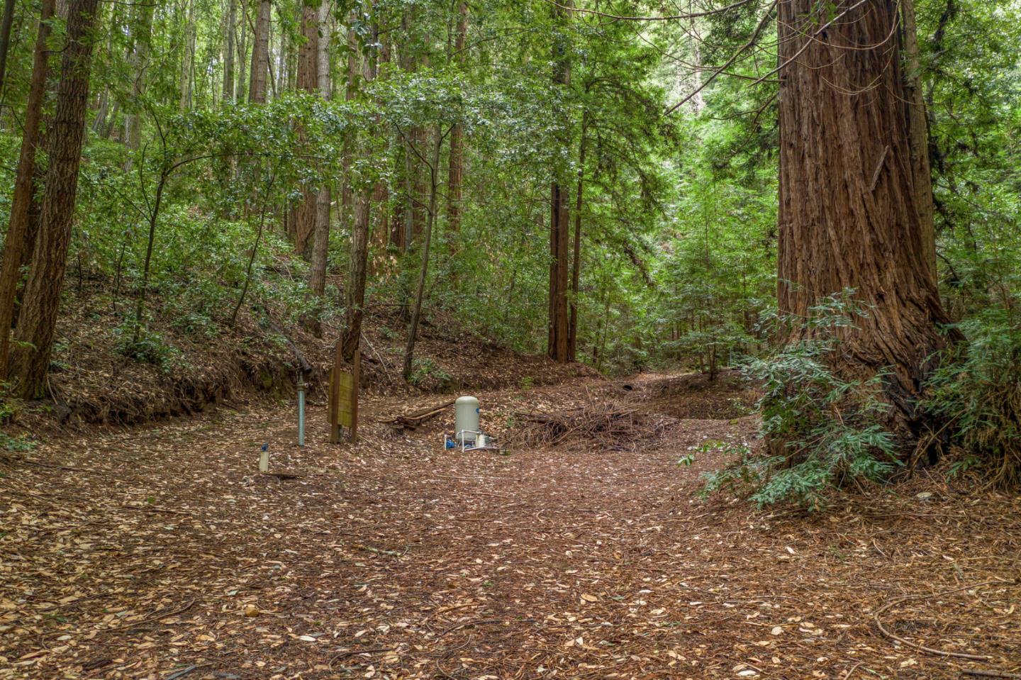 1600 Tucker Road Scotts Valley, CA 95066 - Photo 7 of 37 a view of a forest with trees in the background