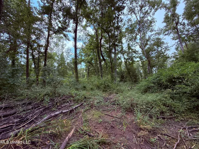 $2,462,400 | 190 Road Krotz Springs, Port Barre, LA 70577