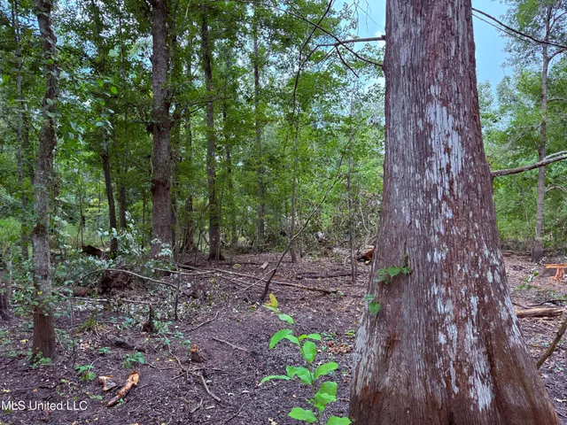 $2,462,400 | 190 Road Krotz Springs, Port Barre, LA 70577