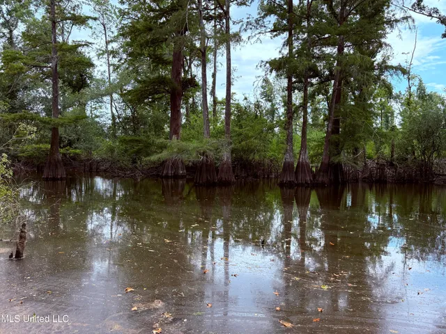 $2,462,400 | 190 Road Krotz Springs, Port Barre, LA 70577