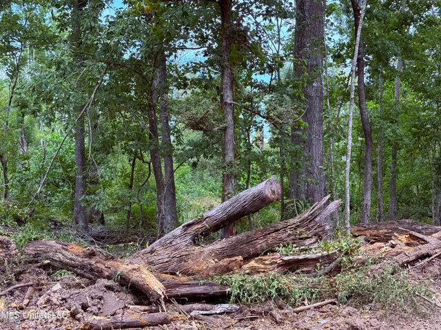 $2,462,400 | 190 Road Krotz Springs, Port Barre, LA 70577