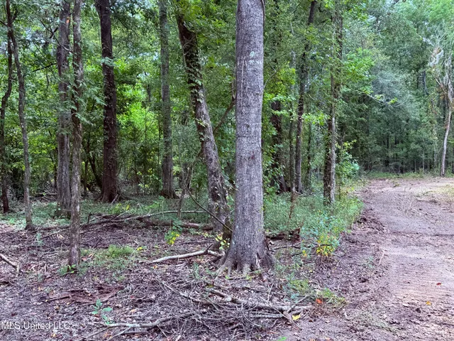 $2,462,400 | 190 Road Krotz Springs, Port Barre, LA 70577