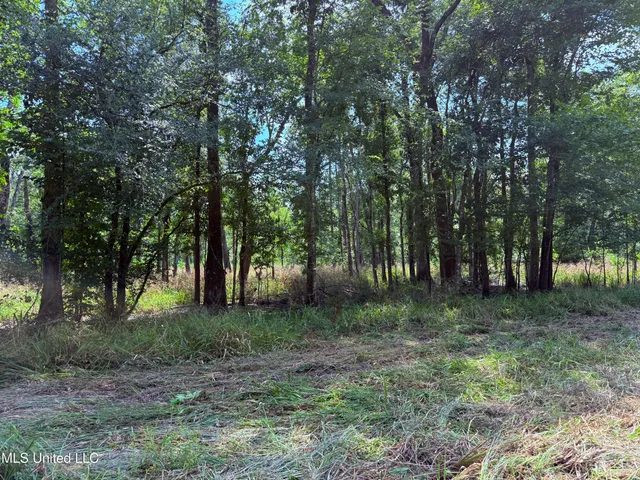 $2,462,400 | 190 Road Krotz Springs, Port Barre, LA 70577