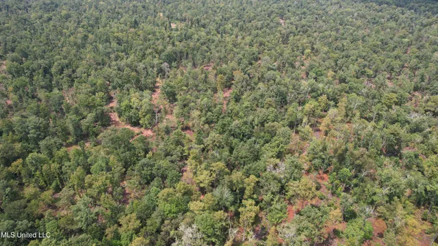 $2,462,400 | 190 Road Krotz Springs, Port Barre, LA 70577