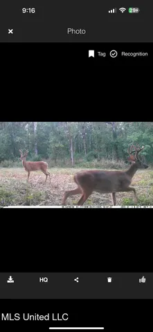 $2,462,400 | 190 Road Krotz Springs, Port Barre, LA 70577