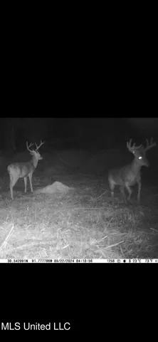 $2,462,400 | 190 Road Krotz Springs, Port Barre, LA 70577