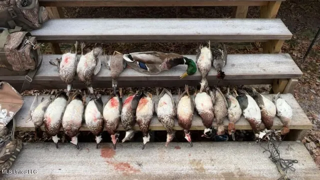 $2,462,400 | 190 Road Krotz Springs, Port Barre, LA 70577