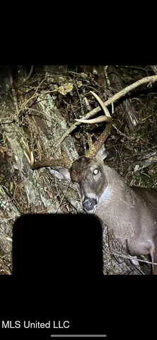 $2,462,400 | 190 Road Krotz Springs, Port Barre, LA 70577