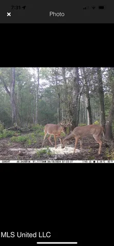 $2,462,400 | 190 Road Krotz Springs, Port Barre, LA 70577