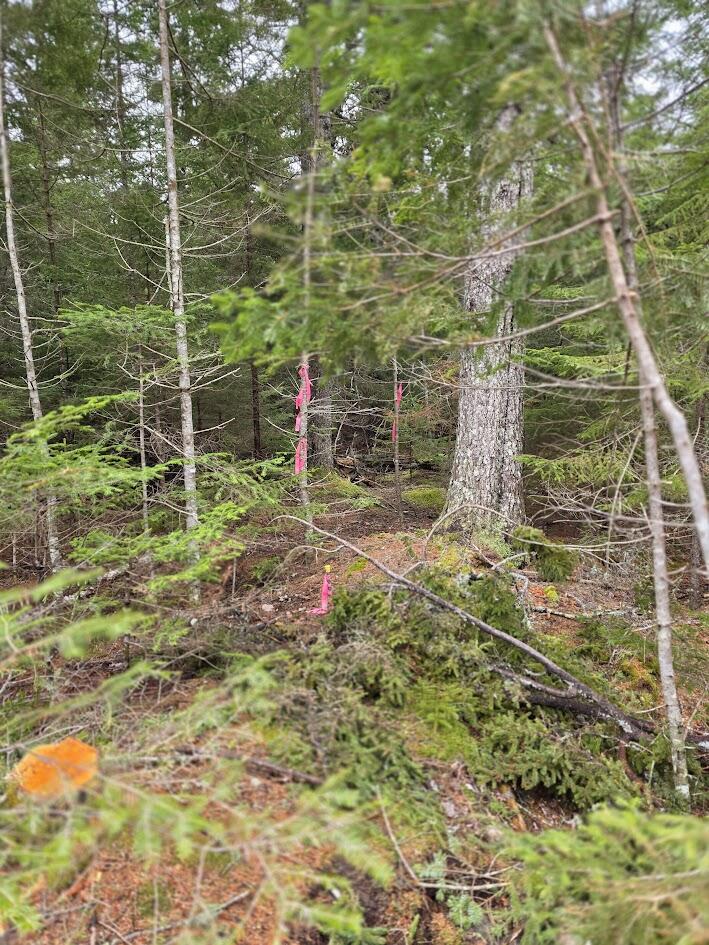 Lot 1 Windward Way Addison, ME 04606 - Photo 14 of 14 20260415_143128