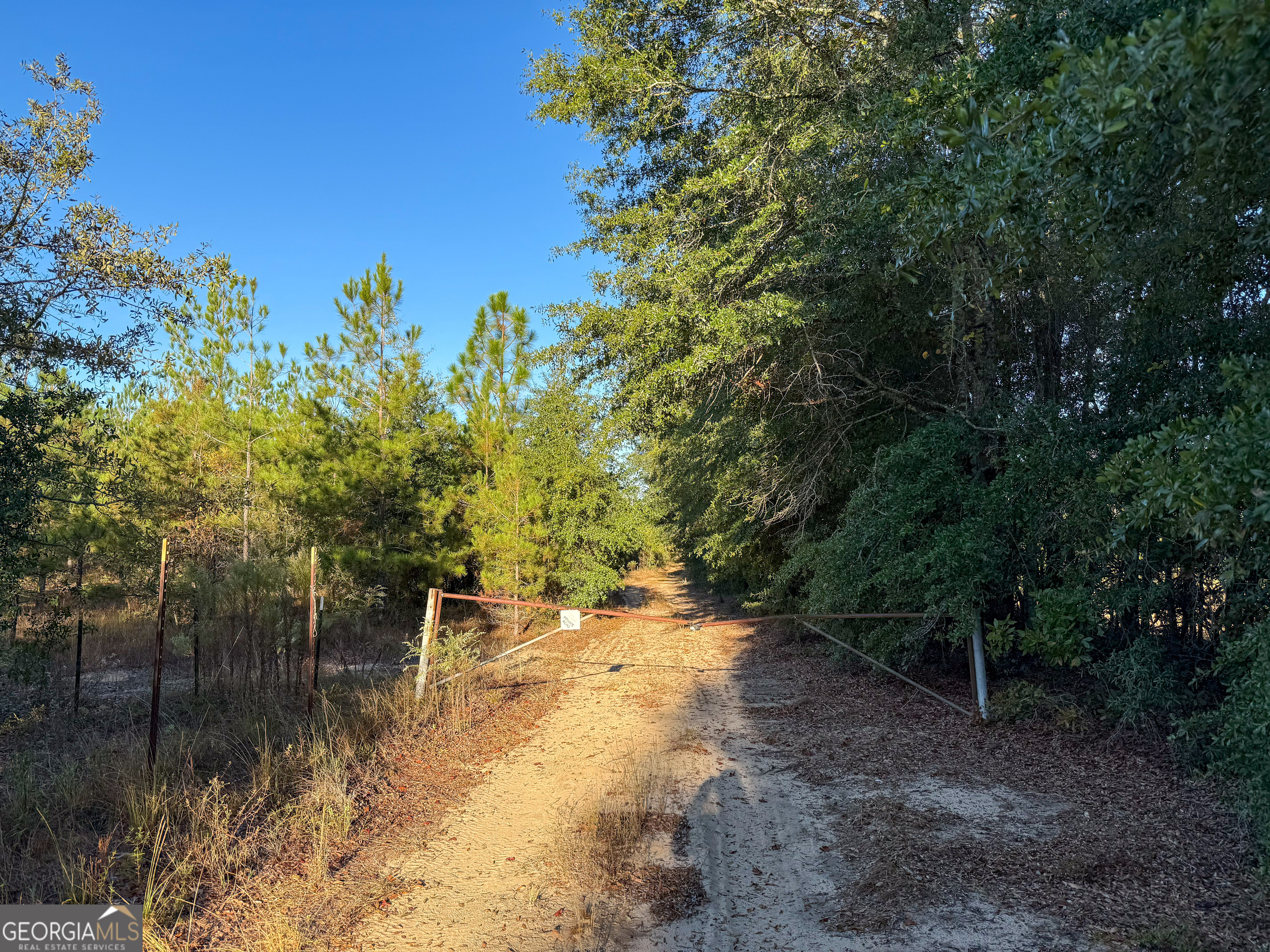 0 Buckeye Road East Dublin, GA 31027 - Photo 11 of 14 a view of backyard with green space