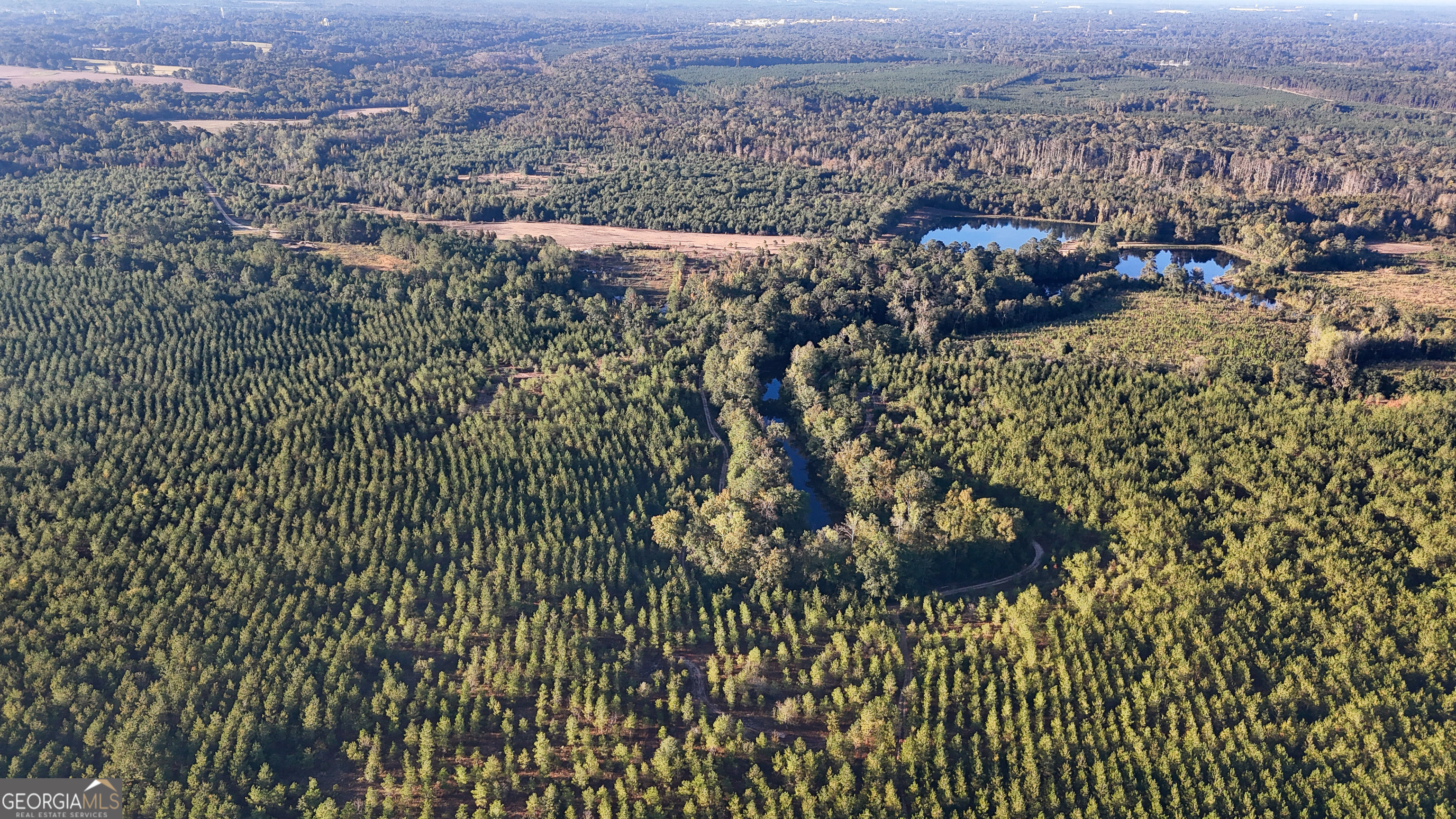 0 Buckeye Road East Dublin, GA 31027 - Photo 5 of 14 a view of a city