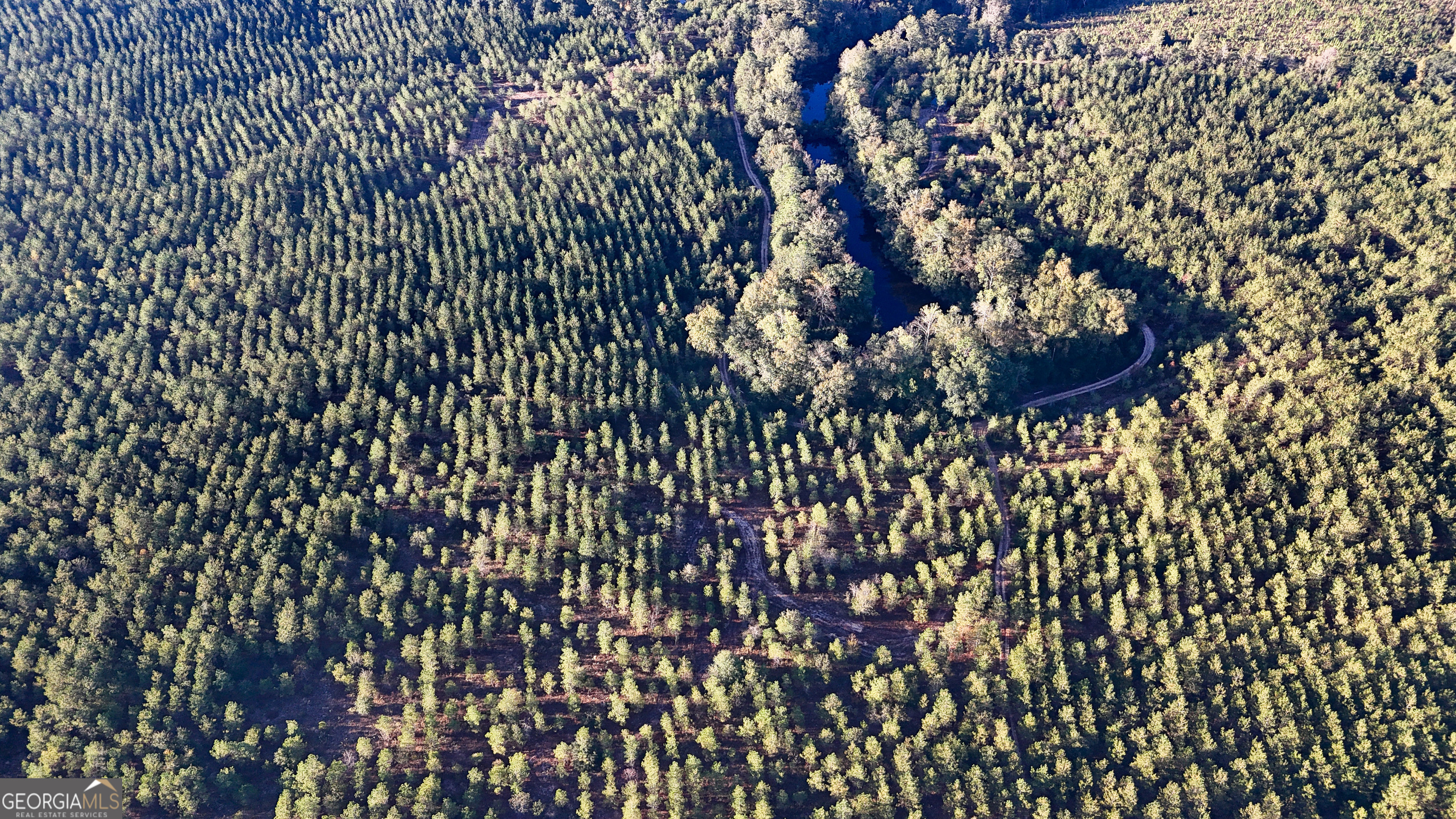 0 Buckeye Road East Dublin, GA 31027 - Photo 6 of 14 a view of a bunch of flowers