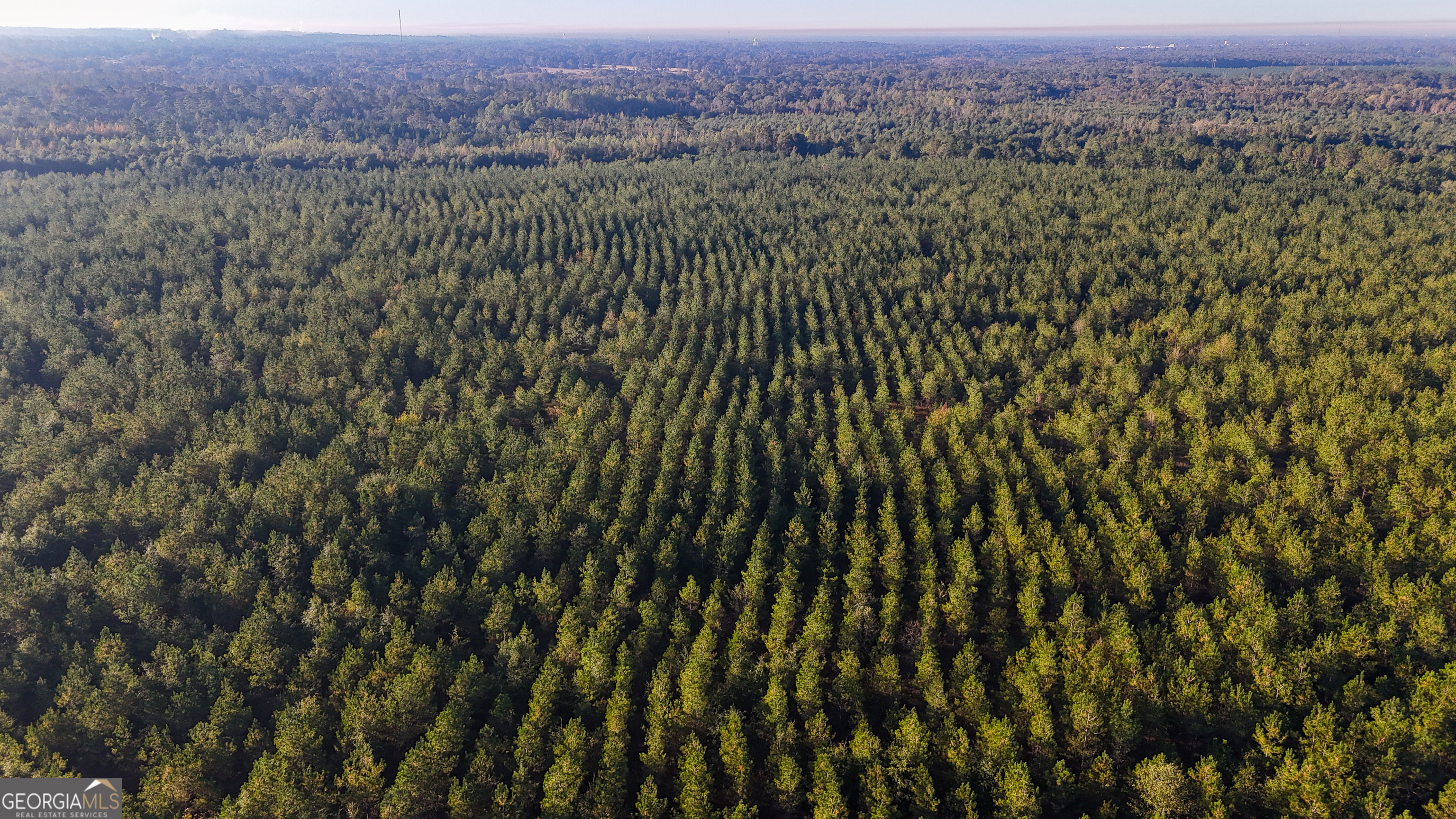 0 Buckeye Road East Dublin, GA 31027 - Photo 7 of 14 a view of a green field