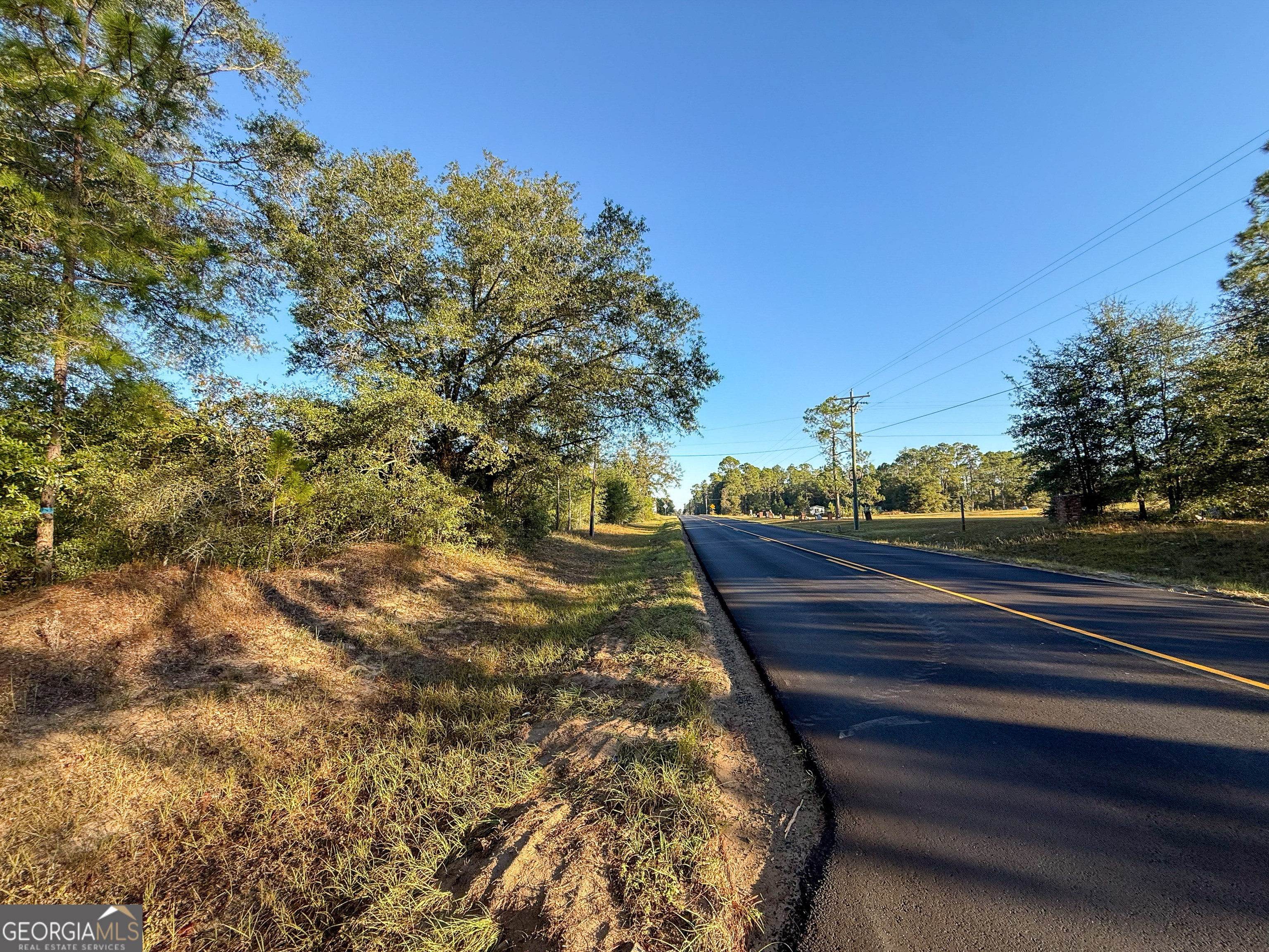0 Buckeye Road East Dublin, GA 31027 - Photo 9 of 14 a view of outdoor space and yard