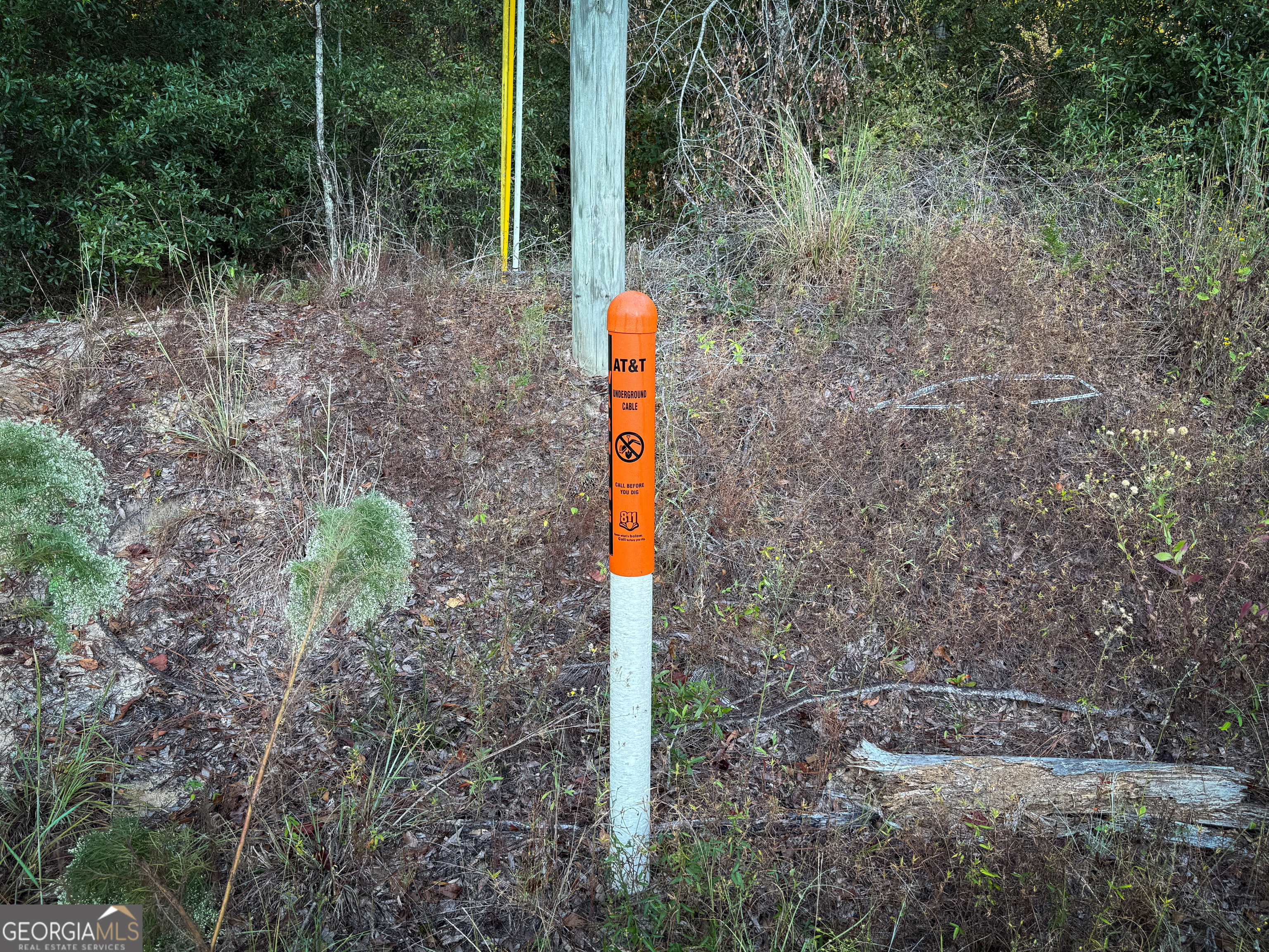 0 Buckeye Road East Dublin, GA 31027 - Photo 10 of 14 a flag is sitting in the middle of forest
