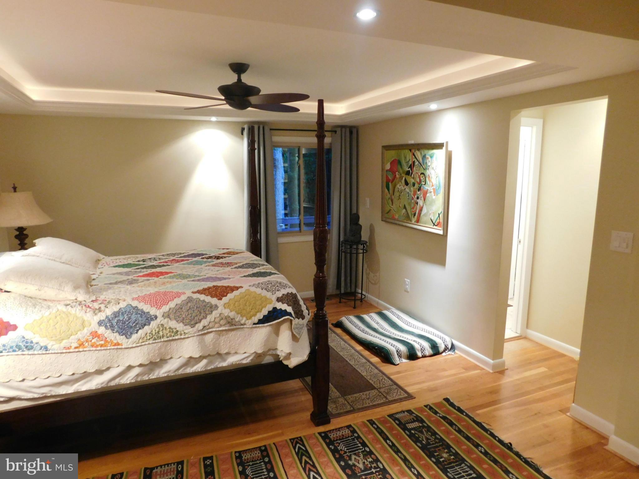 2406 Old Trace Lane Reston, VA 20191 - Photo 14 of 30 Additional Sound Proofing in Master