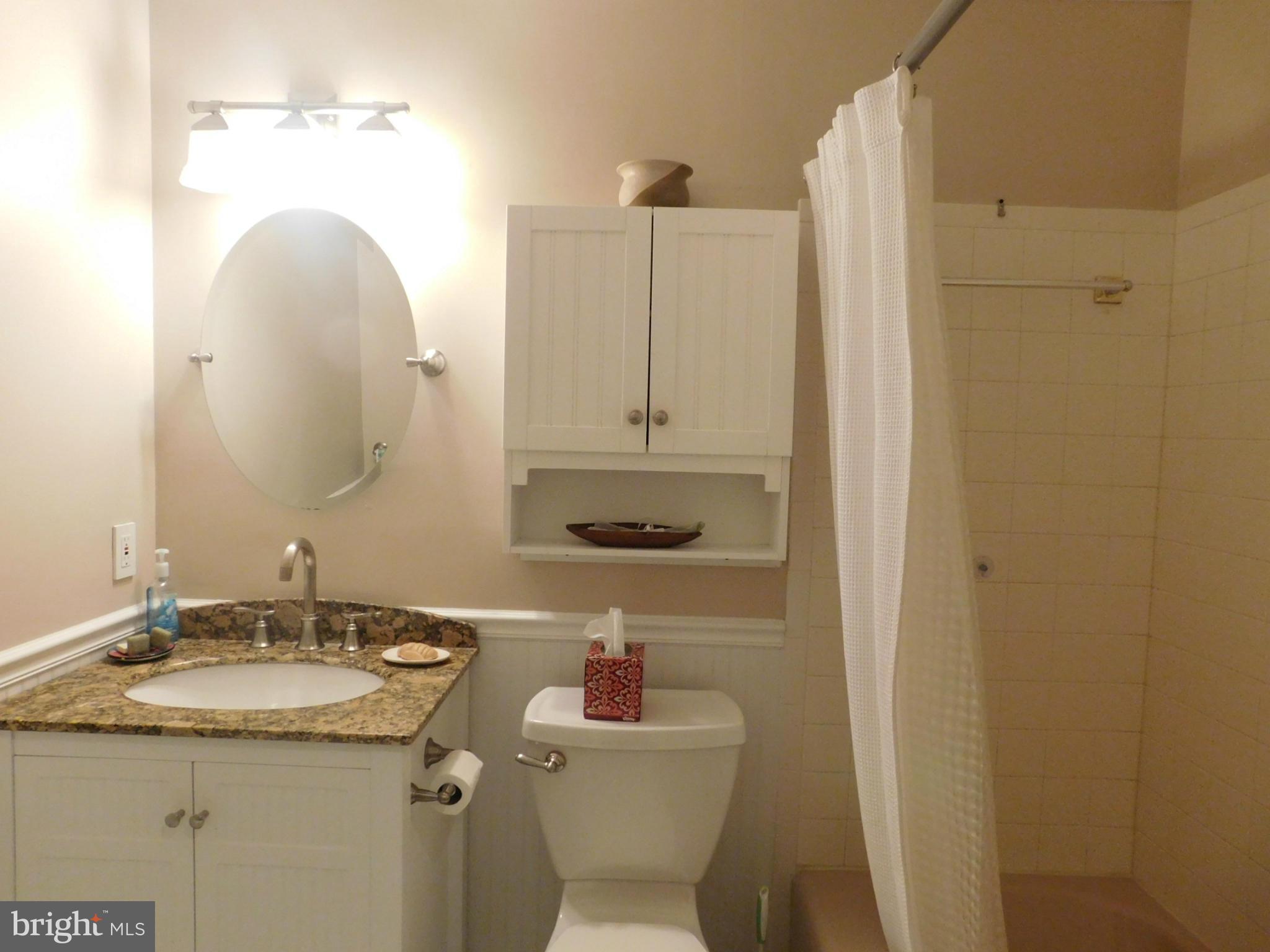 2406 Old Trace Lane Reston, VA 20191 - Photo 18 of 30 Hall Bath