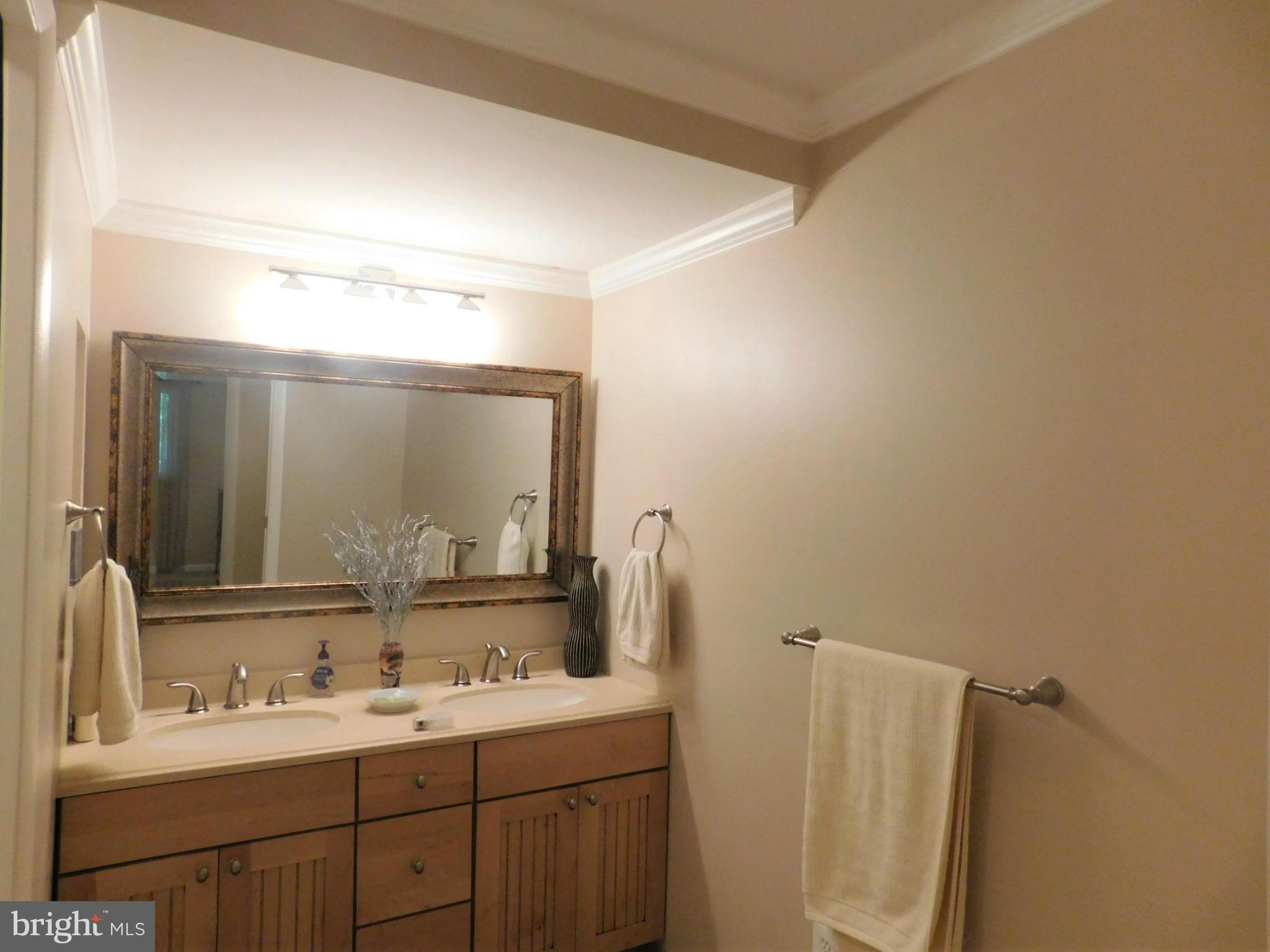 2406 Old Trace Lane Reston, VA 20191 - Photo 25 of 30 Lower Level Bath
