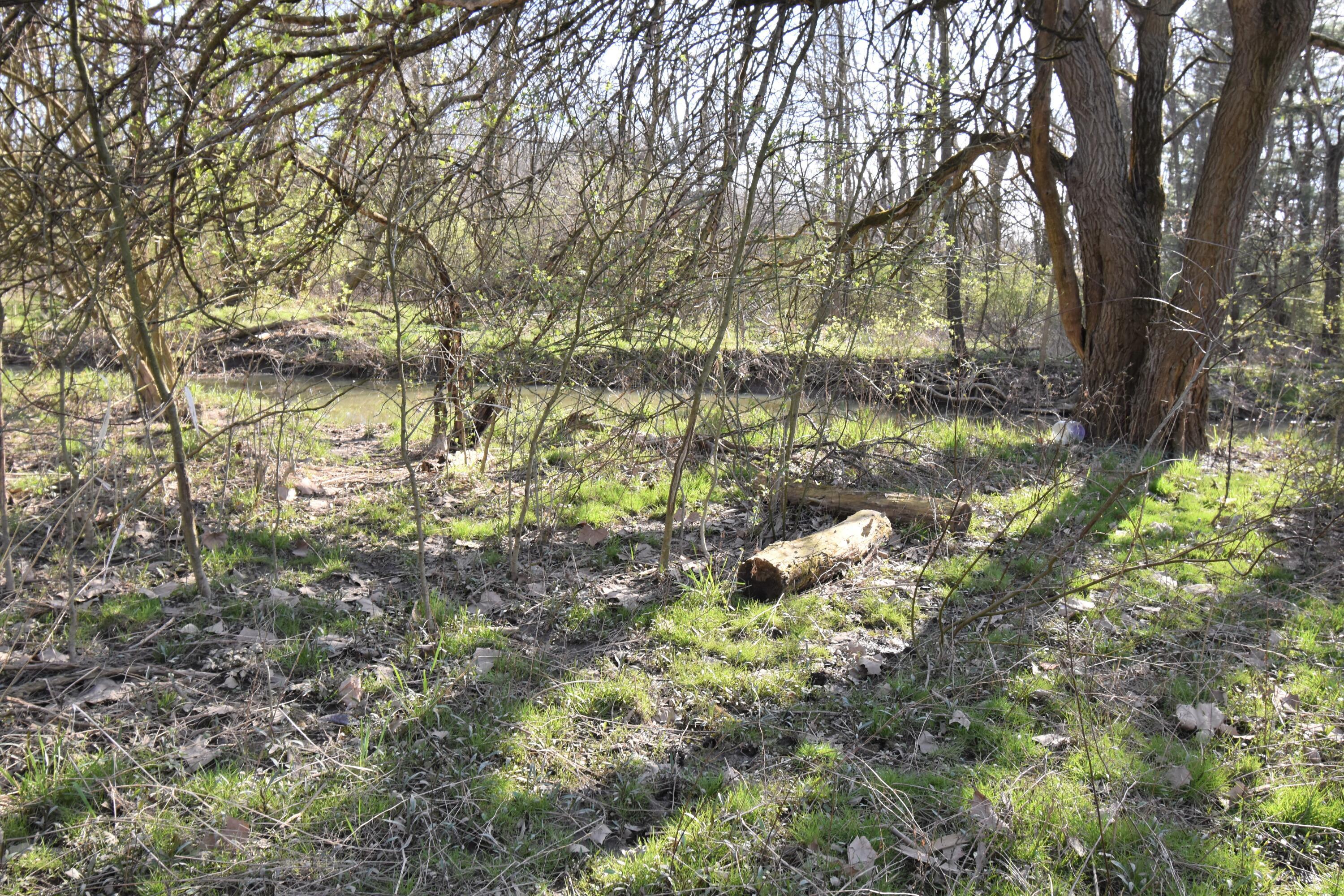 677 Willey Road Delaware, OH 43015 - Photo 19 of 24 Land