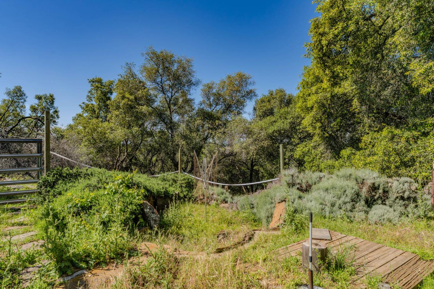17800 Red Mule Road Fiddletown, CA 95629 - Photo 65 of 74 Gallery Image 65