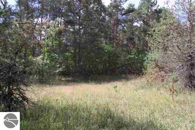4773 North 5 1/2 Road Mesick, MI 49668 - Photo 8 of 25 1739206-7.JPG