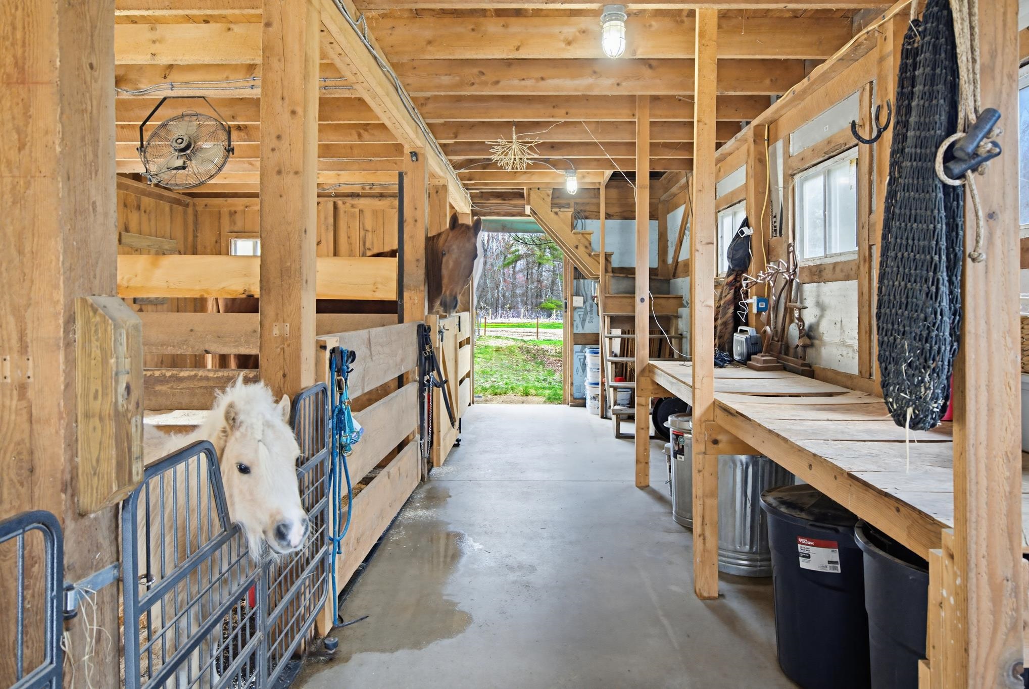 21 Little River Road Nottingham, NH 03290 - Photo 48 of 60