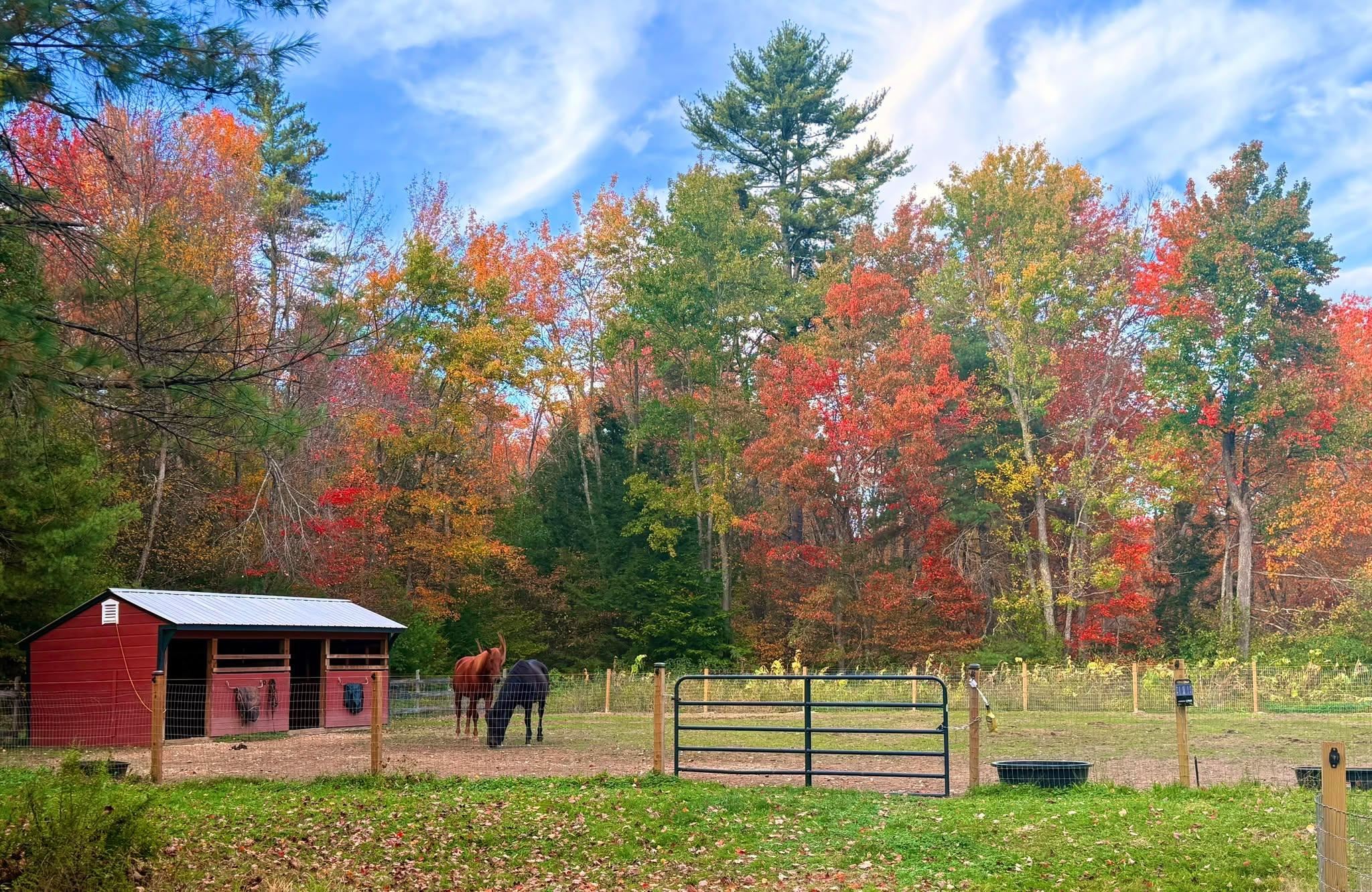 21 Little River Road Nottingham, NH 03290 - Photo 51 of 60