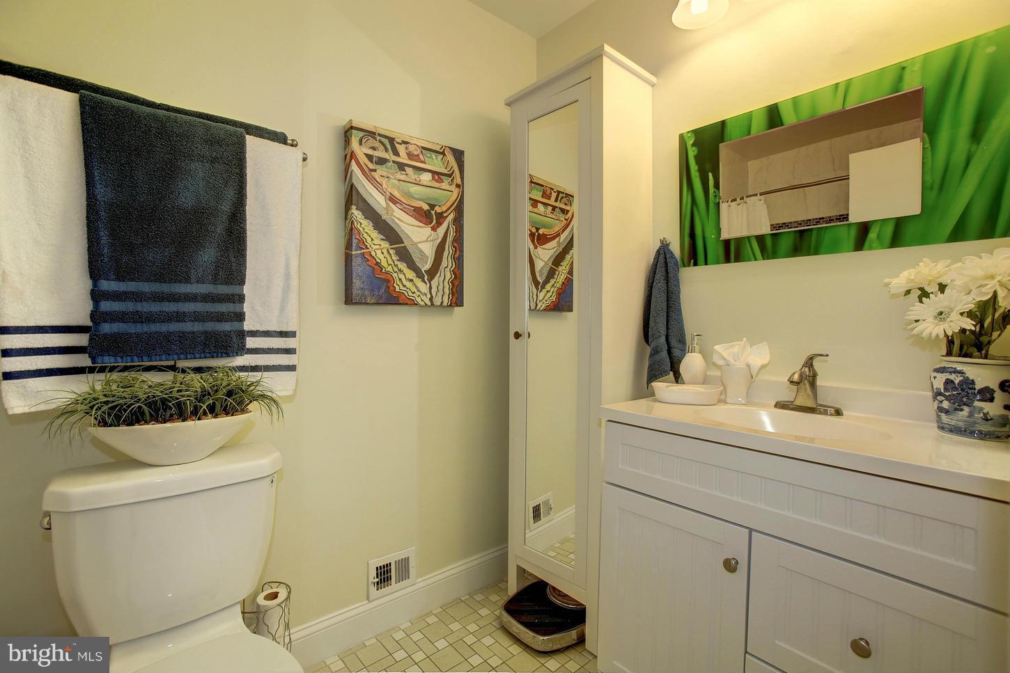 1964 Winterport Cluster Reston, VA 20191 - Photo 20 of 30 Bath (Master)
