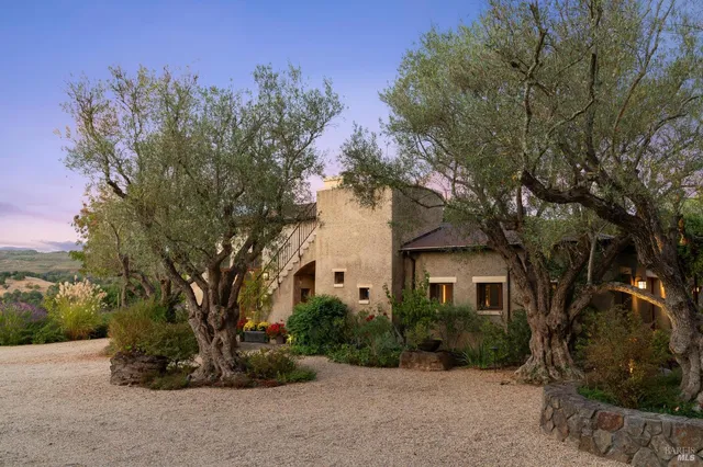 a view of a backyard with plants and sitting area