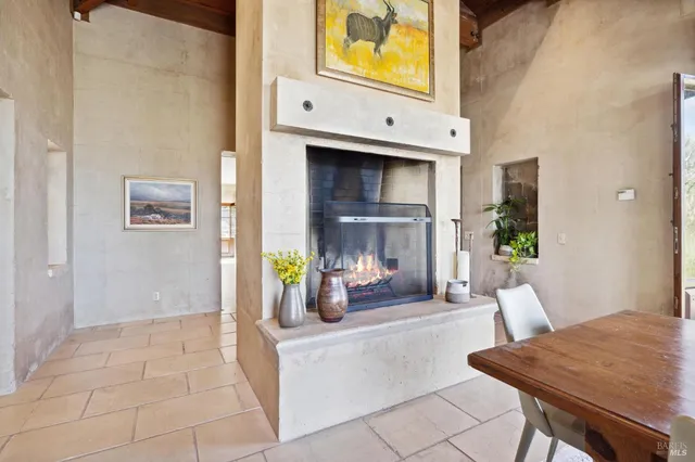 a living room with furniture or couch and a potted plant