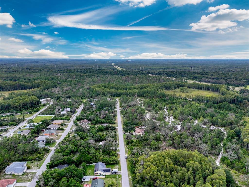 71 St 72 & 73 New Port New Port Richey, FL 34654 - Photo 16 of 37 a view of a city with lush green forest