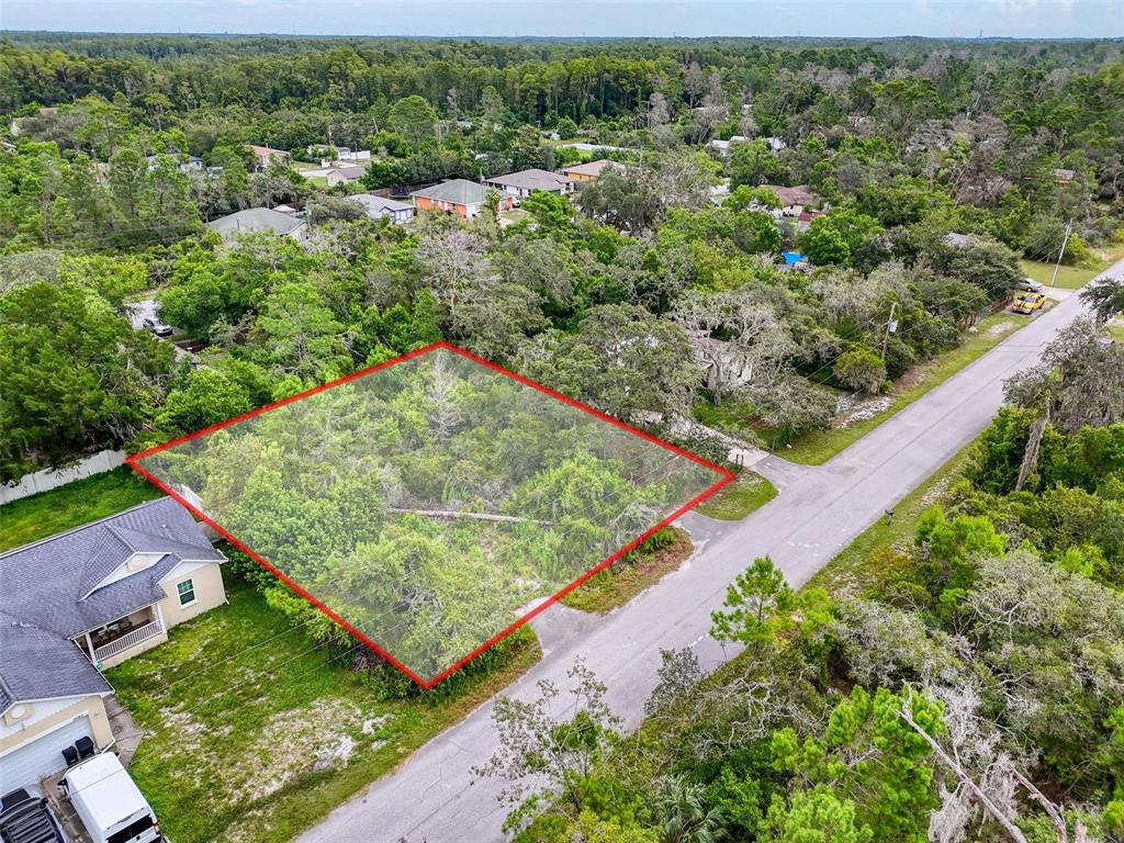 71 St 72 & 73 New Port New Port Richey, FL 34654 - Photo 17 of 37 an aerial view of a yard