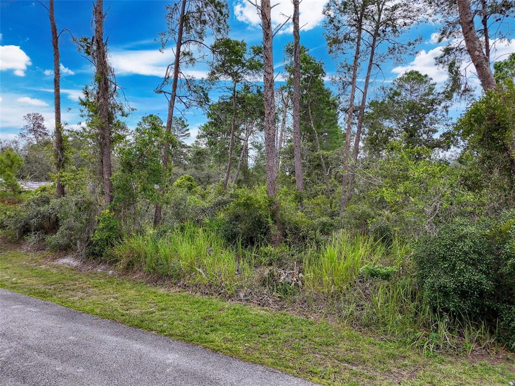 71 St 72 & 73 New Port New Port Richey, FL 34654 - Photo 23 of 37 a view of a garden with a house