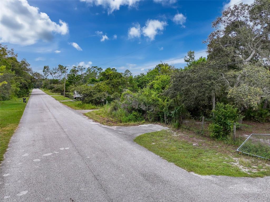 71 St 72 & 73 New Port New Port Richey, FL 34654 - Photo 3 of 37 a view of a yard with palm tree