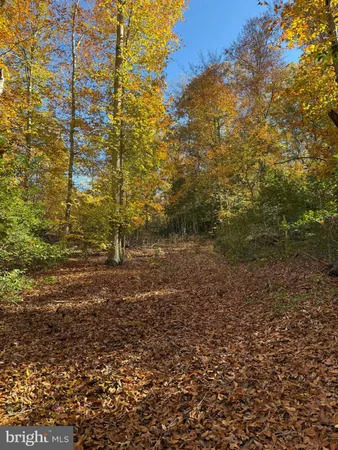 $85,000 | 0 Old Sycamore Road, Charlotte Hall, MD 20622