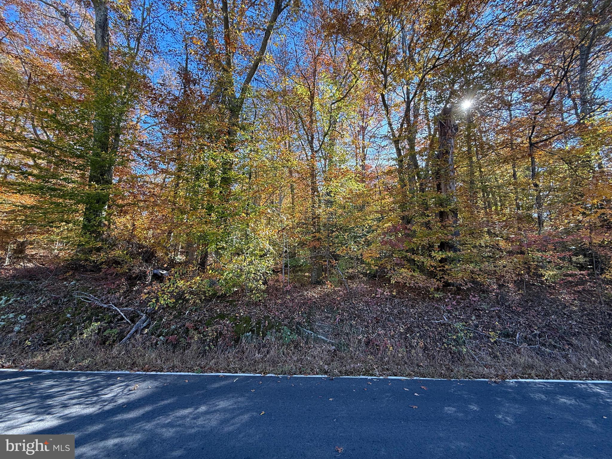 0 Old Sycamore Road Charlotte Hall, MD 20622 - Photo 6 of 6 a view of a yard