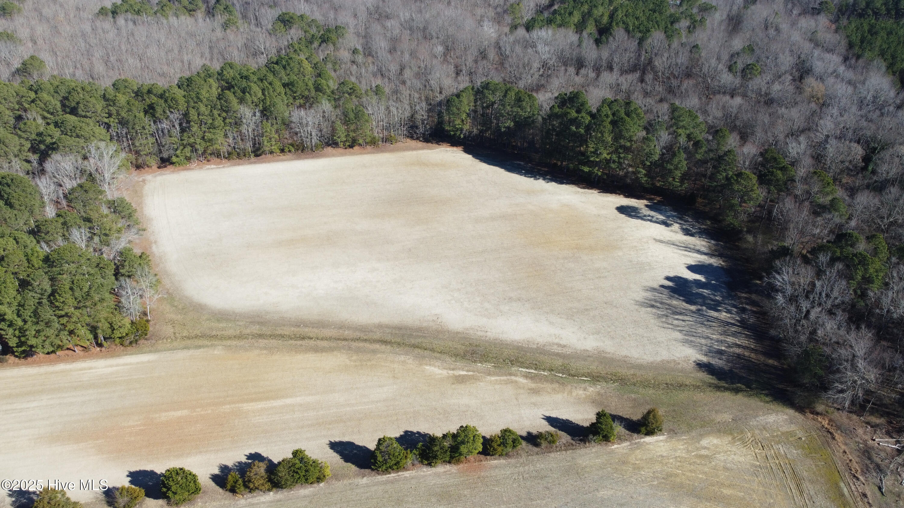 8501 Edwards Road Castalia, NC 27816 - Photo 11 of 31 DJI_0738 copy