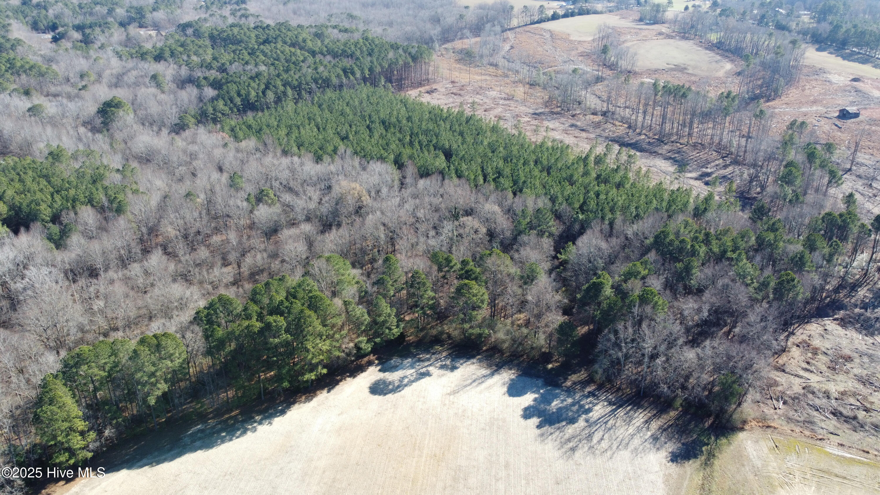 8501 Edwards Road Castalia, NC 27816 - Photo 12 of 31 DJI_0741 copy