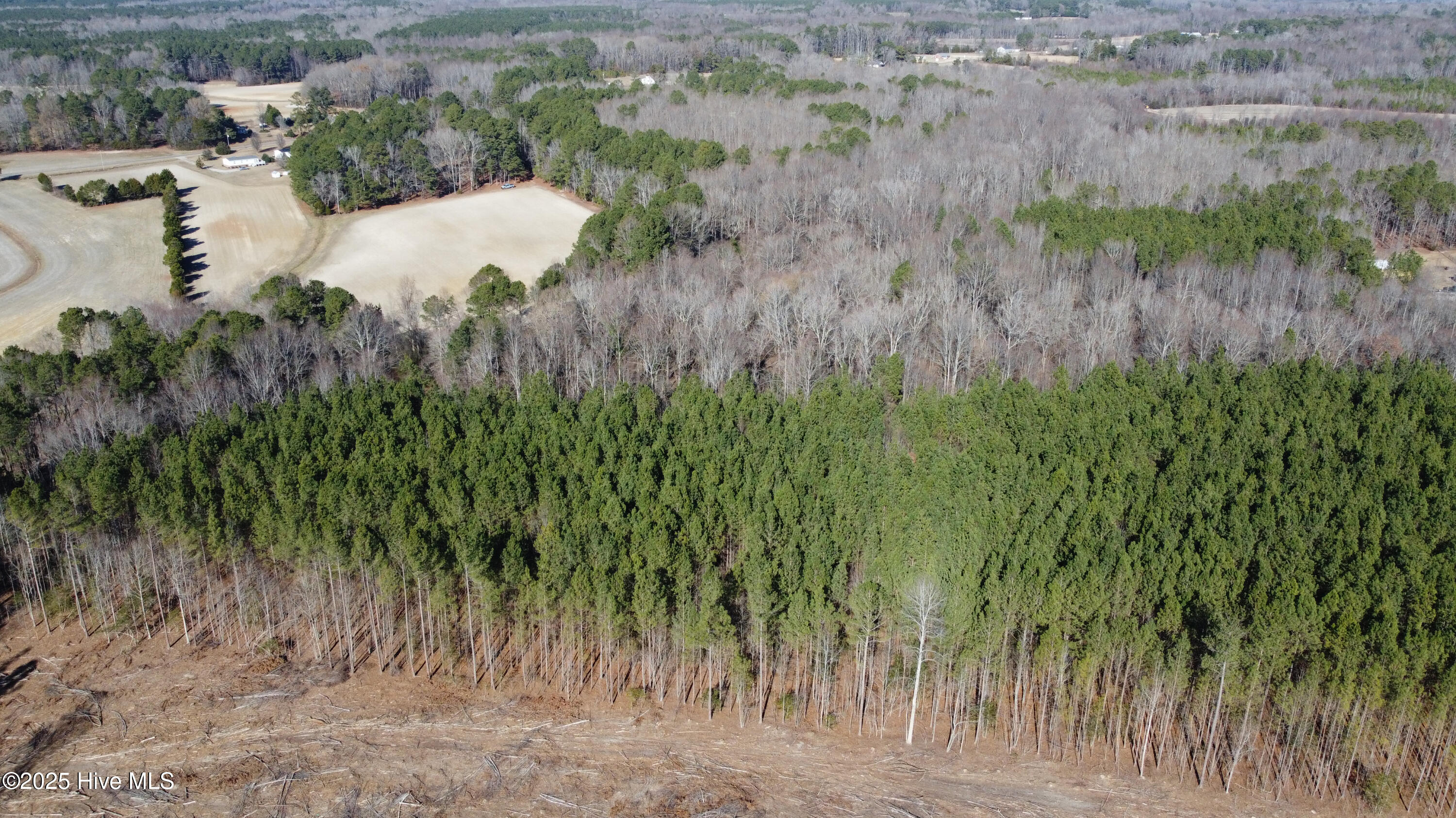 8501 Edwards Road Castalia, NC 27816 - Photo 13 of 31 DJI_0744 copy