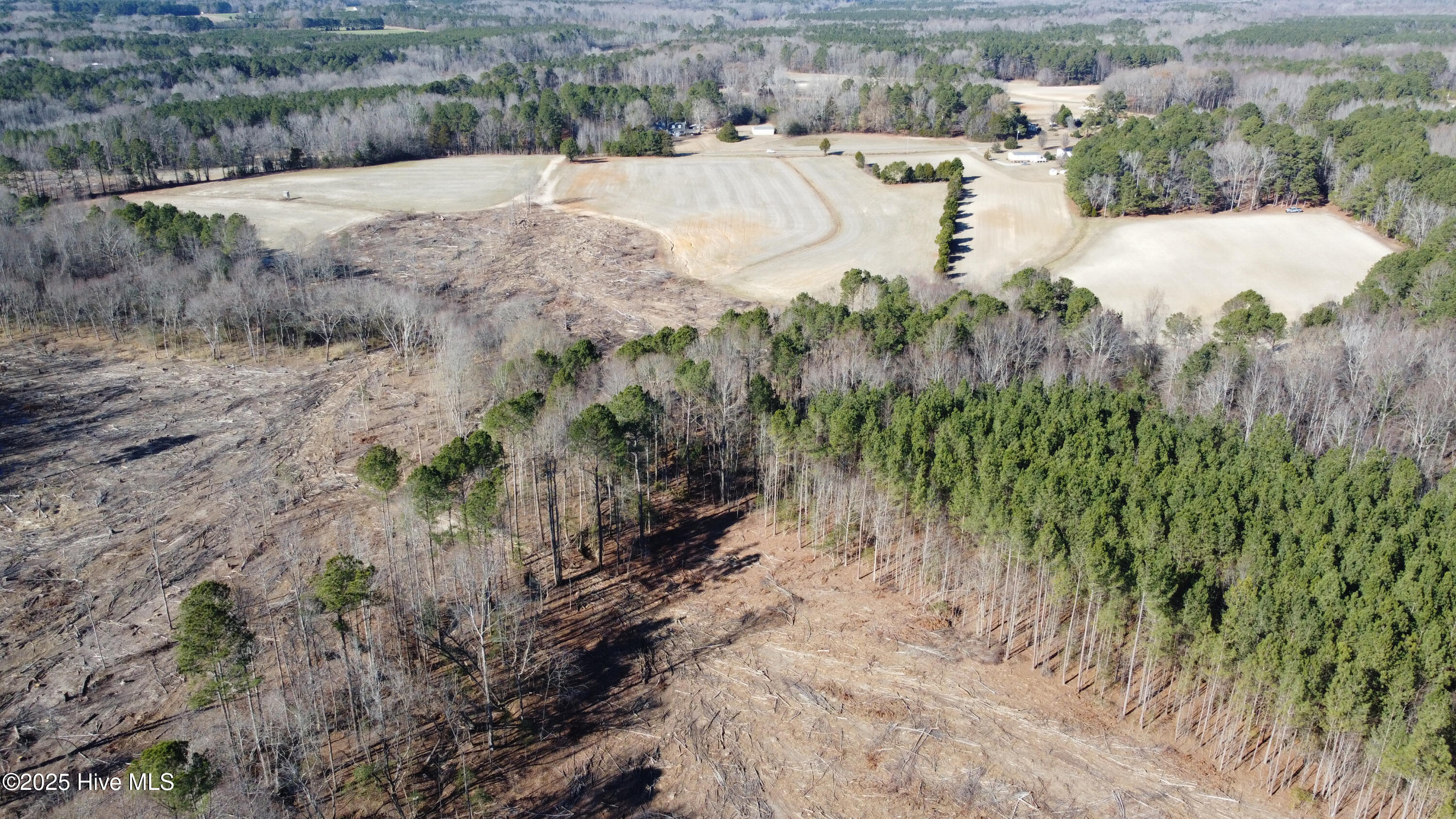 8501 Edwards Road Castalia, NC 27816 - Photo 14 of 31 DJI_0745 copy